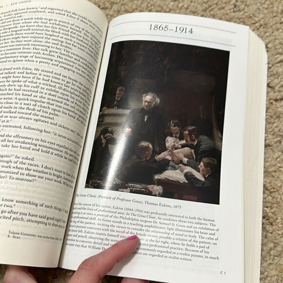 Norton Anthology of American Literature 9th Edition. Volume C - Picture 2 of 5